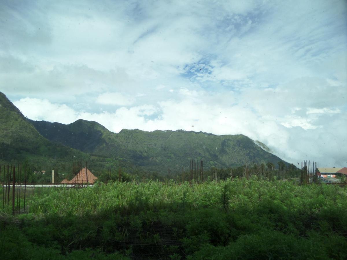 Bromo Permai 1 Hotel Exterior photo