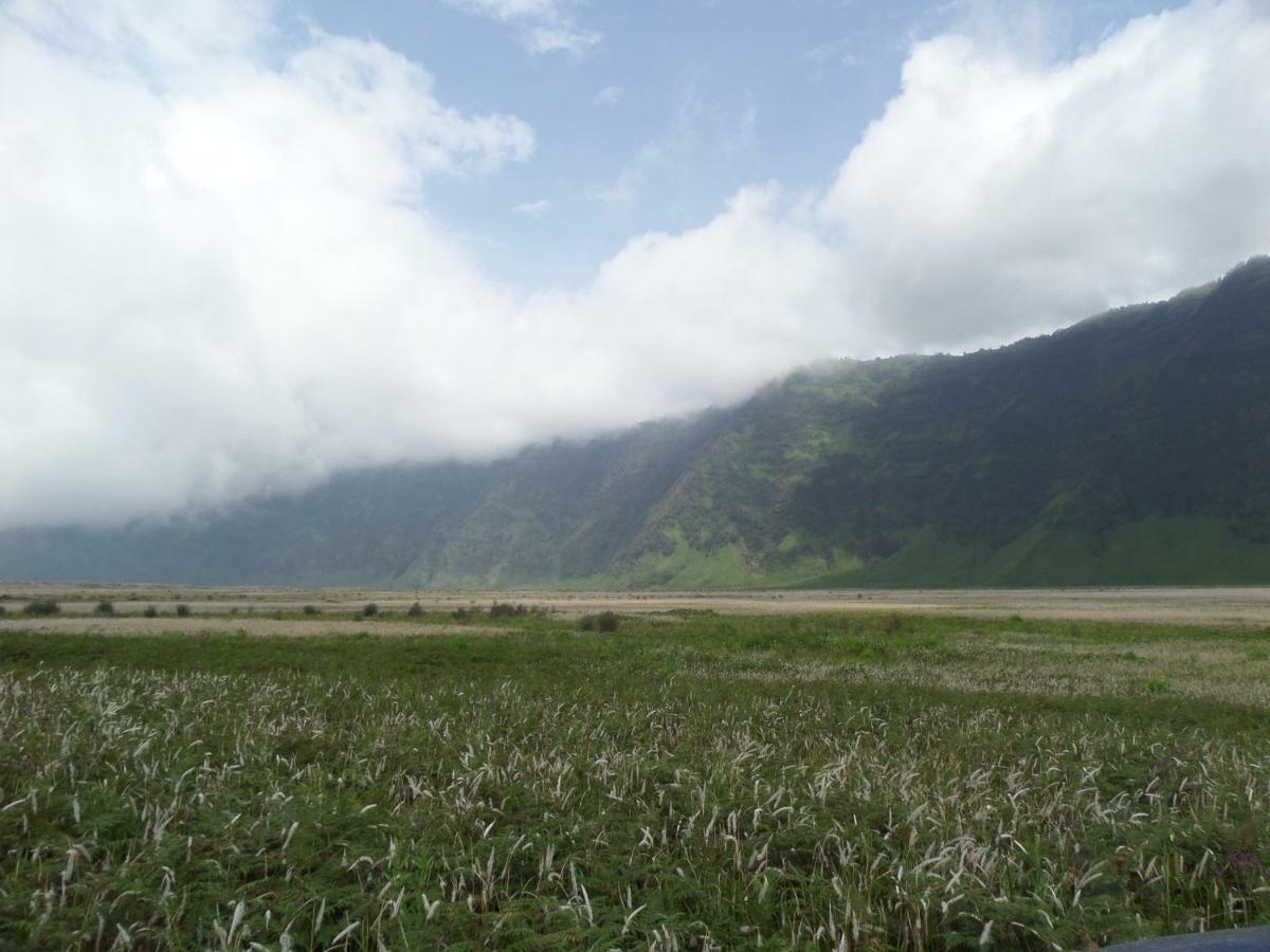 Bromo Permai 1 Hotel Exterior photo