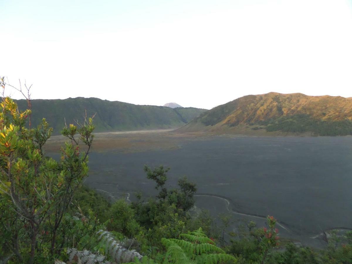 Bromo Permai 1 Hotel Exterior photo