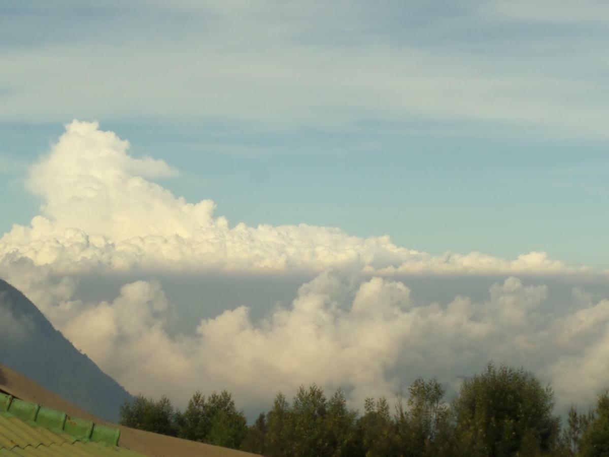 Bromo Permai 1 Hotel Exterior photo